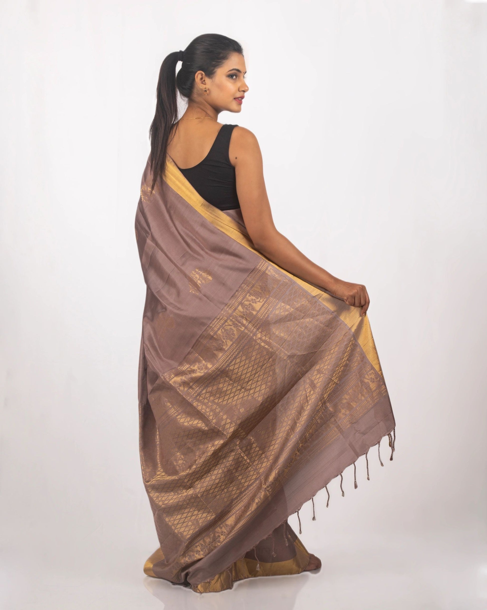 Monochrome Brown and Golden Saree
