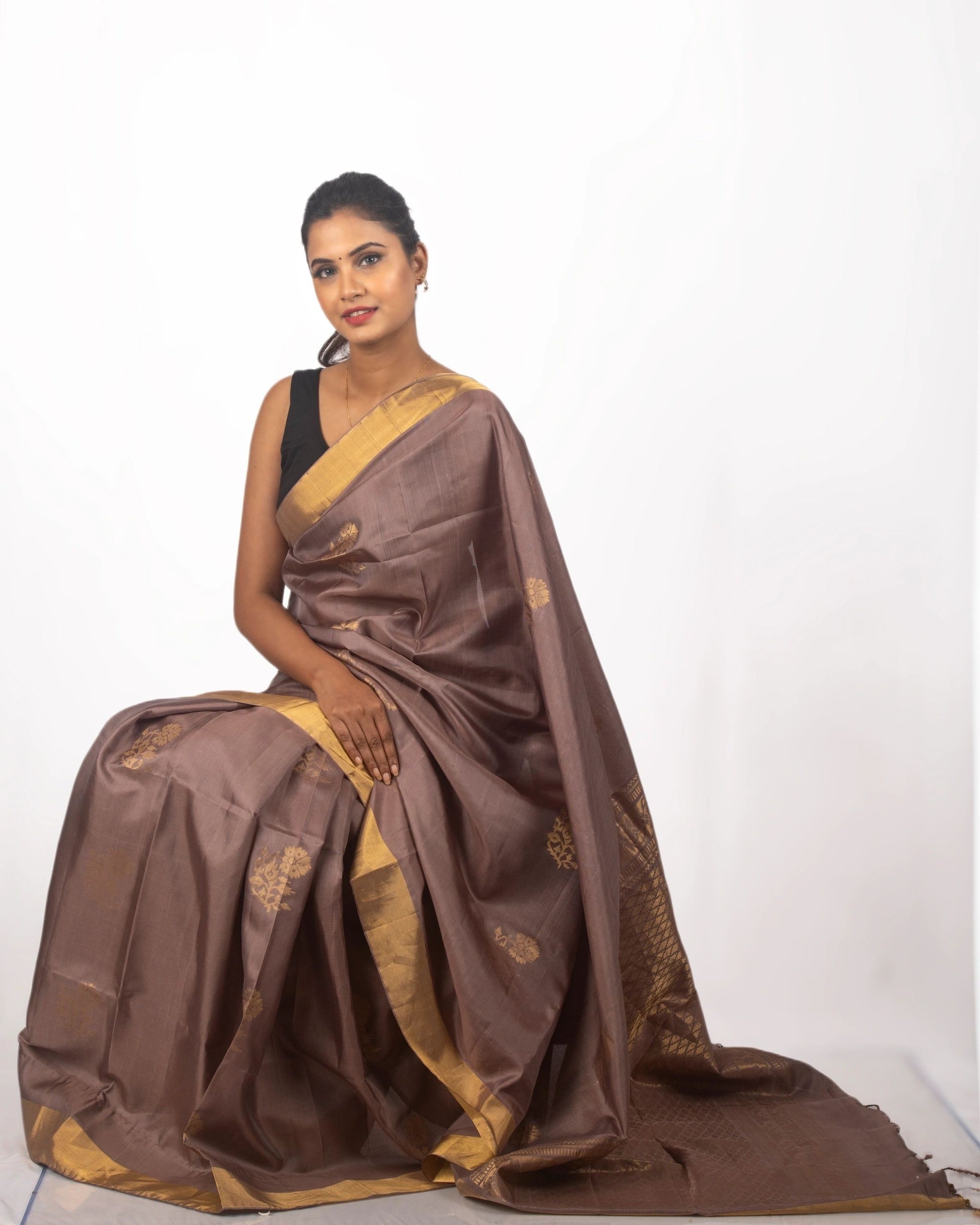 Monochrome Brown and Golden Saree
