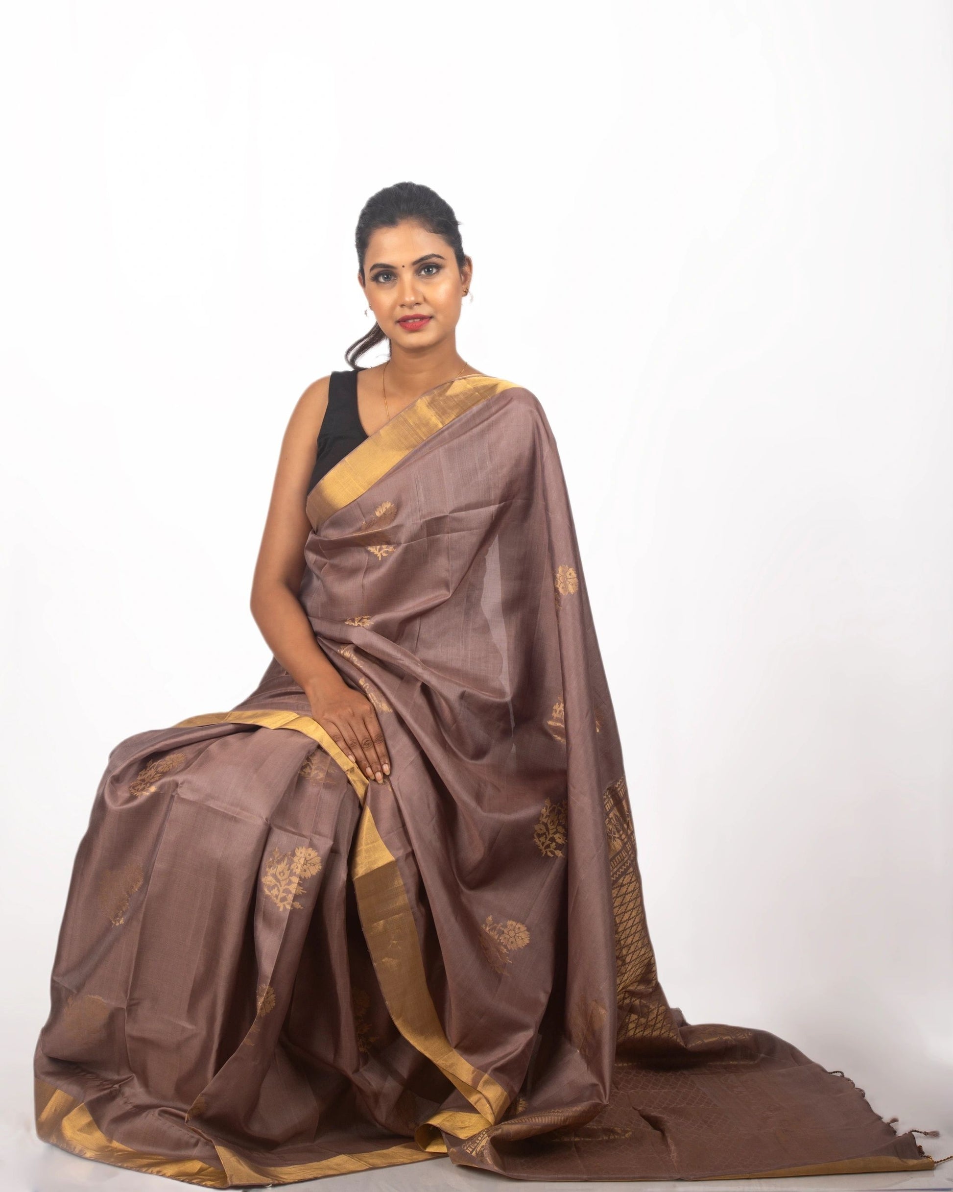 Monochrome Brown and Golden Saree