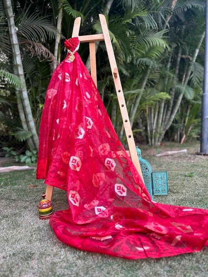 Bright Red Organza with Golden Hexagonal Design Silk Saree