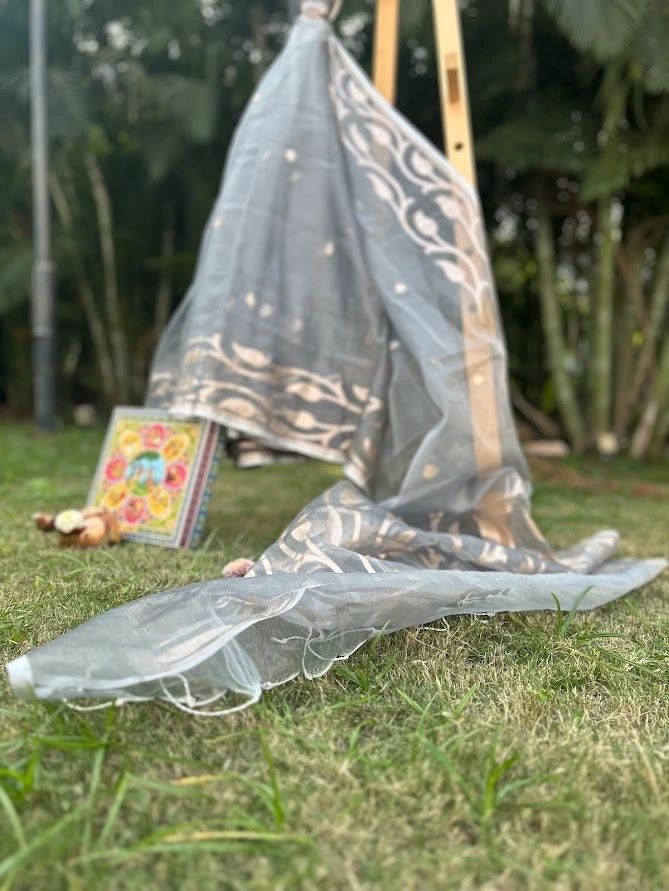 Organza Grey & Gold Saree